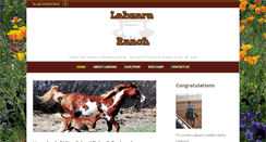 Desktop Screenshot of labzara.com